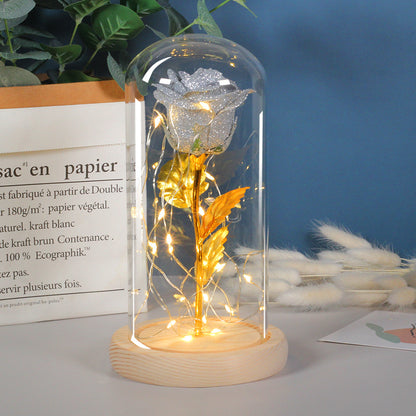 Eternal Rose Flowers LED Light In Glass Cover Gift